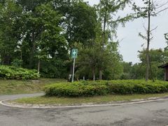 -白鹭湾湿地公园