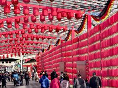 -北京凤凰岭