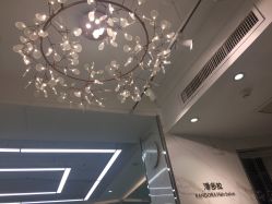 -潘多拉Hairsalon