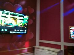 -金青果甄选KTV(劳动公园店)