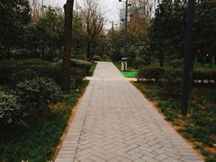 -唐城墙遗址公园