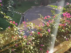 -佛山复星禅诚医院