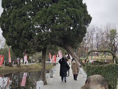 -花溪公园