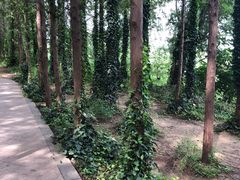 -云龙湖旅游景区