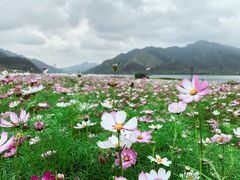 -羚羊峡古栈道森林公园