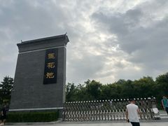 -莲花池公园