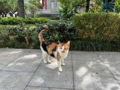 -西安大兴善寺