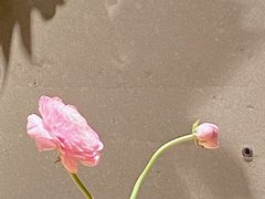 -一坐一忘云南菜(北京skp店)