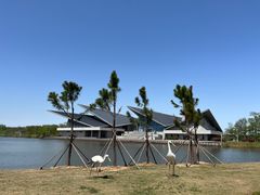 -盐城丹顶鹤湿地生态旅游区