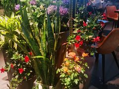 -West10 西拾·西餐厅·创意菜(未来科技城店)