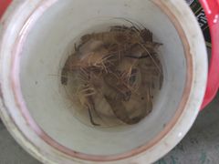 -小象钓虾·营地烧烤(洛溪店)