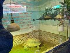 -上海大自然野生昆虫馆(东方明珠·爬宠昆虫探索中心)