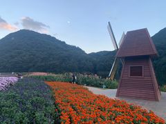 -广州市石门国家森林公园