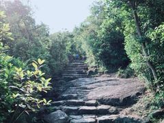 -狮子山郊野公园