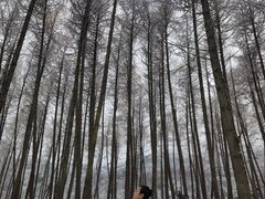 -硗碛藏寨·神木垒景区