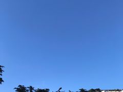 -愿者上钩·纸包鱼(翻身店)