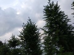 -竹苑农庄