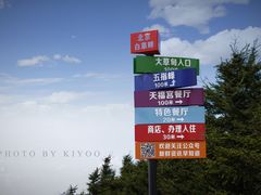 -白草畔自然风景区