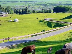 -新疆那拉提国家旅游度假区