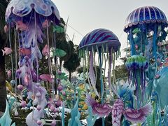 -海合安武汉极地海洋公园