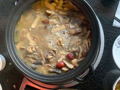 -蘑统田下·野生菌火锅