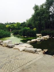 -大望京儿童游乐场