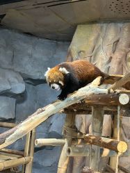 -Zoolung Zoolung动物主题公园(海信广场店)