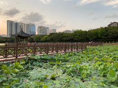 -南宁南湖公园