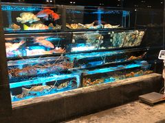水产区-彩福皇宴(皇室堡店)