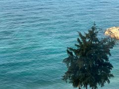 -蜈支洲岛珊瑚酒店临海阁中餐厅