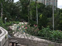 -九龙公园