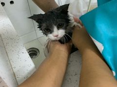 -佳雯宠物医院(金华南路分院)