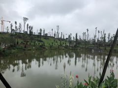 -枫香湖儿童公园