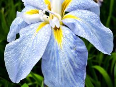 -上海植物园-4号门售票处