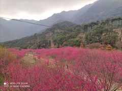 -福清灵石山国家森林公园