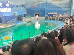 -苏州海洋馆
