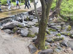 -香炉山国家森林公园