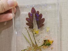 -竞思注意力·专注力·学习能力训练(天一广场中心)
