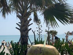 -大梅沙海滨公园