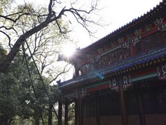 -灵谷景区