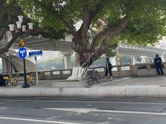 -诚志饼家·小凤饼非遗传承(中山六路店)
