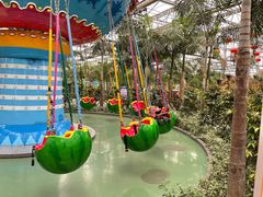 -南宫五洲植物乐园