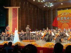 -顺德演艺中心大剧院