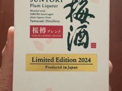 -大阪国际机场