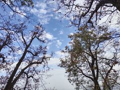 -终南山南五台景区