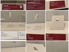 -上海博物馆