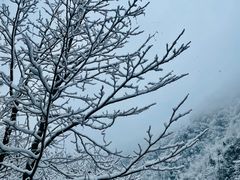 -九峰山