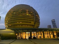 -杭州国际会议中心洲际酒店-原素全日餐厅(解放东路店)