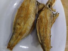 -长平肥姐白粥·海鲜打冷