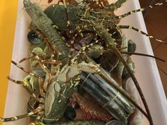 这些砍好价3500株-班赞海鲜市场